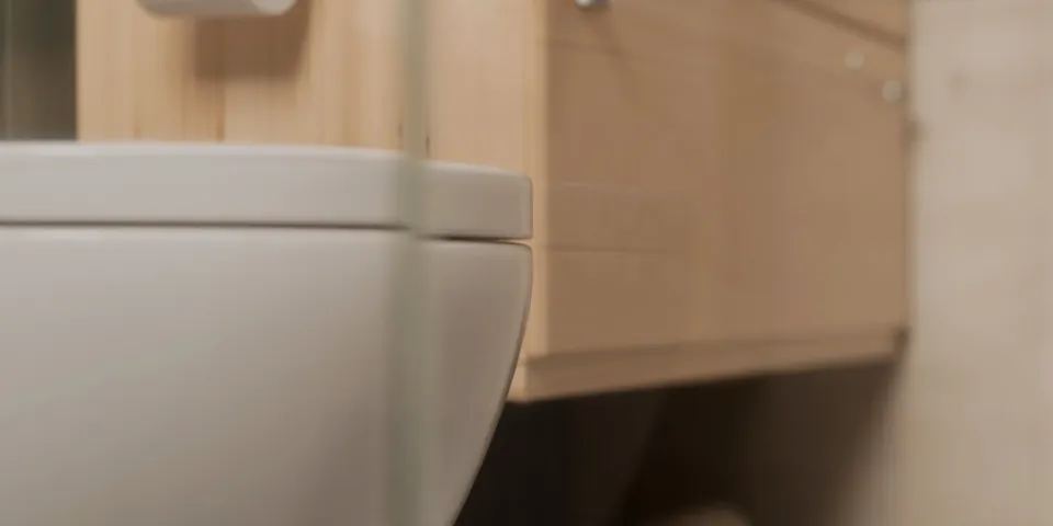 Green Bathroom - view 4